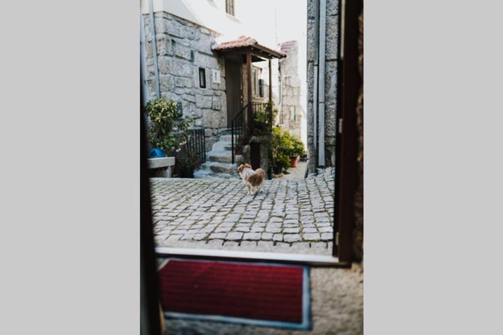 Casa Oeste Sabugueiro  Luaran gambar
