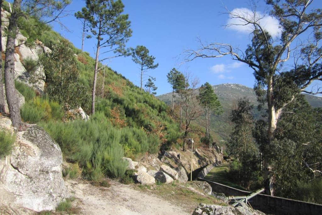 Casa Oeste Sabugueiro  Luaran gambar